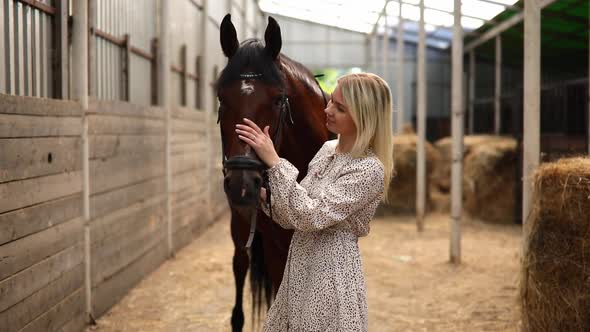 A Young Rider Woman Blonde with Long Hair in a Dress Posing with Brown Horse Inside Light Stable