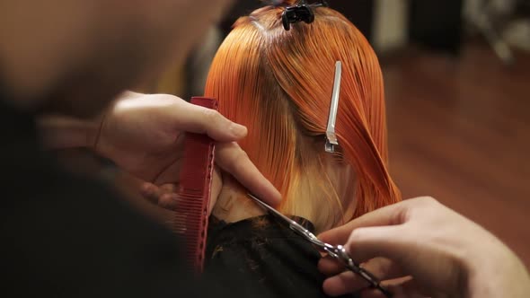 Back View of Redhead Woman Getting Her Hair Cut By a Professional Hairdresser in Beauty Salon