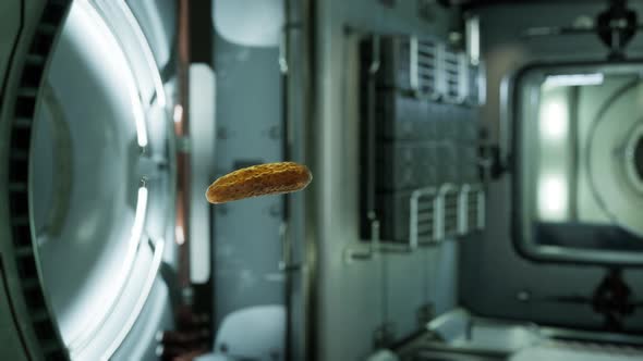 Marinated Pickled Cucumber Floating in Internation Space Station