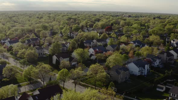 Aerial Drone View of Real Estate in American Suburb at Summer Time