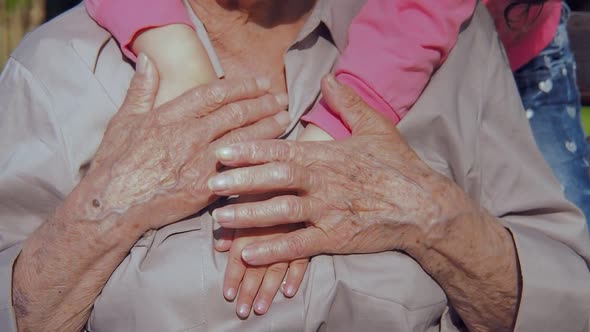 Hands of an Elderly Woman