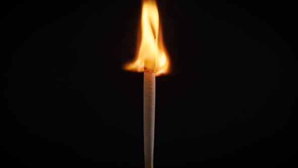 Isolated Flame Burning on a Match on a Black Background