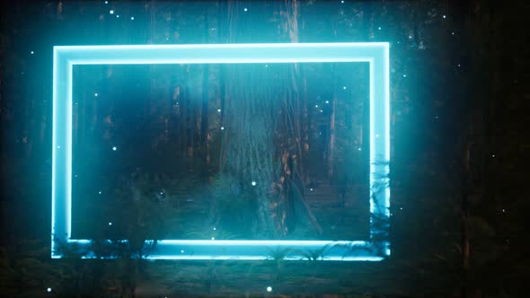 Neon Glowing Rectangle Frame in the Night Forest