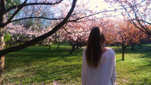 Girl walking in Japanese Garden with blooming trees. Young woman with long hair enjoys spring