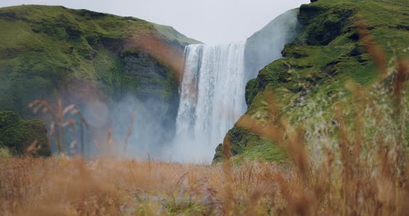 Iceland Skogafoss Waterfall with Foliage Field in Foreground