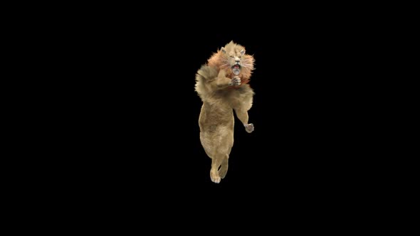 Lion Dancing HD
