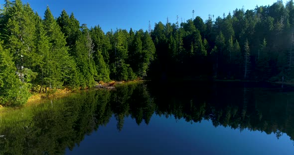 Picturesque Woodland Lake Reflection Of Forest Trees Aerial View Washington State Pacific Northwest