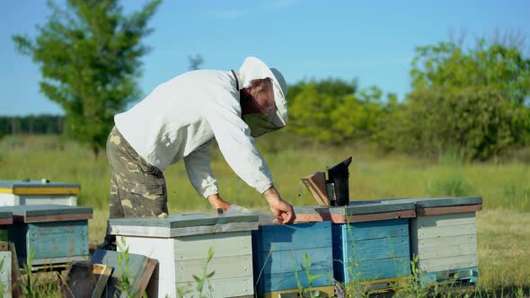 Beekeeper is Working With Bees