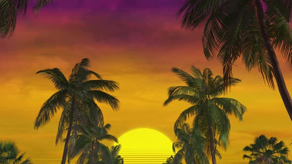 Summer Palm Sunset 02 4k  alt