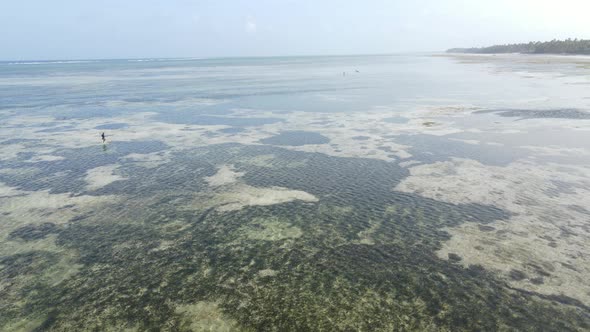 Aerial View of Low Tide in the Ocean Near the Coast of Zanzibar Tanzania Slow Motion