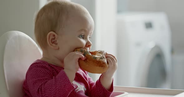 Cute Little Girl Dressed in Pink Eating a Large Doughnut Indoors with Obvious Enjoyment and Relish.