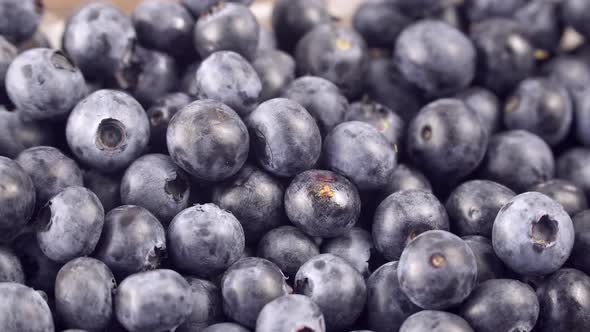 Blueberry Berries Close Up