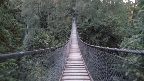 Wide shot of Lynn Valley suspension bridge, dusk