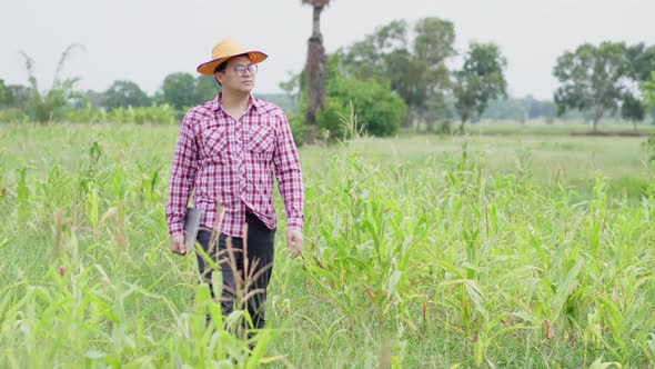 Asian farmer wearing glasses and holding a laptop, walking in a big farm