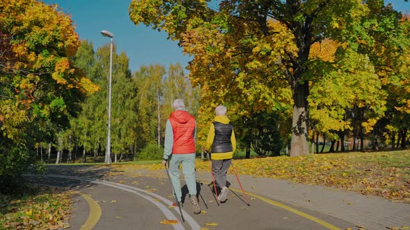 Two Aged Women Walking in Sunny Fall Park with Nordic Walking Poles Back View