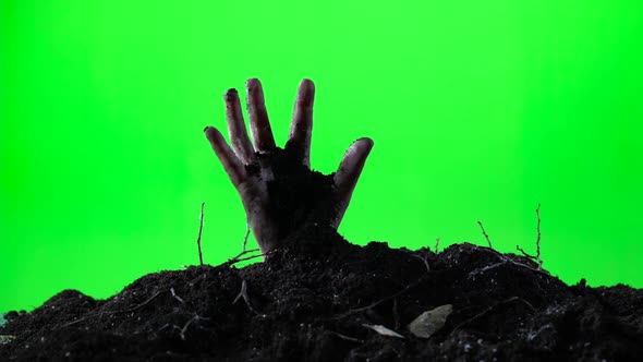 Zombie Woman Hand Emerging From the Ground Grave. Halloween Concept. Green Screen. 002