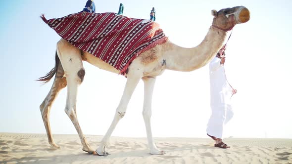 Man and his camel in the Dubai desert