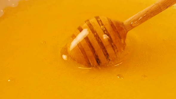 Wooden Dipper Spoon in Liquid Honey