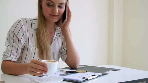 Blonde Business Woman Working at Modern Office