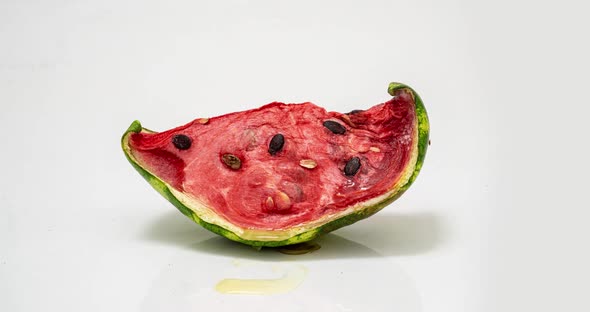 Piece of Ripe Watermelon Rots on White Background, Time Lapse, Educational Cognitive Video