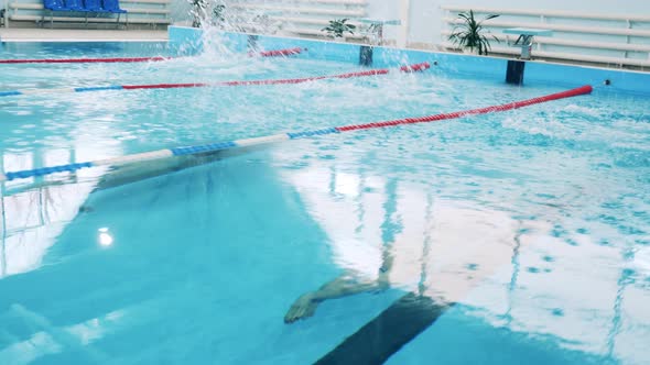 Three Athletes Jumping in a Swimming Pool in Sync