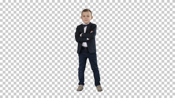 Handsome Child Looking at Camera and Crossing Hands, Alpha Channel