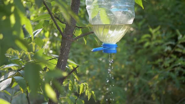 Homemade Washbasin for Vacationers Tourists in a Deciduous Forest