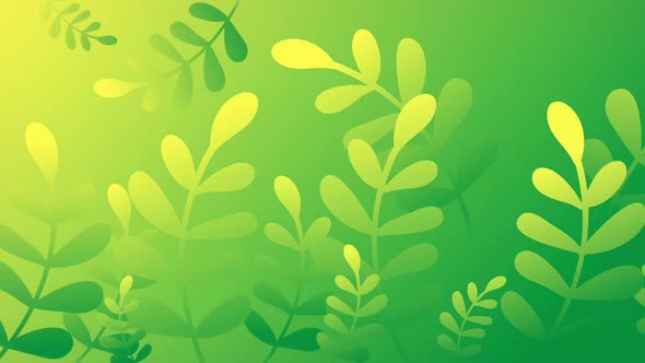 Green Plant Background