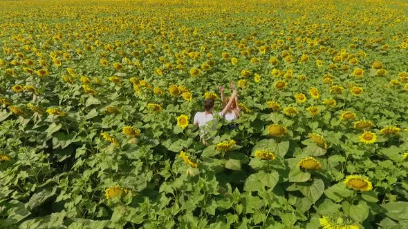 Aerial View of Man and Woman Walking on Yellow Sunflower Field