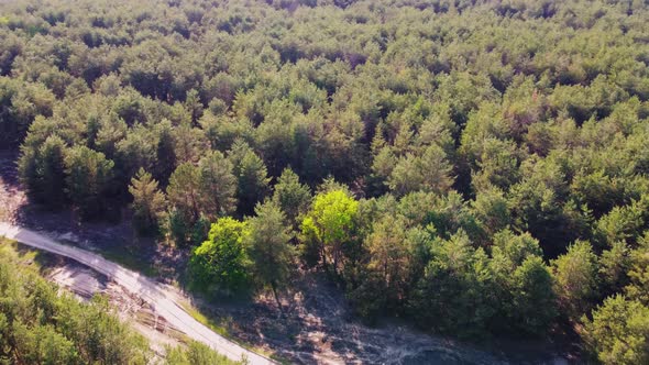 Aerial View Of Green Forest Landscape