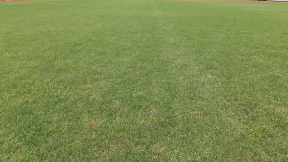 Empty Football stadium. Football field. Stadium without viewers