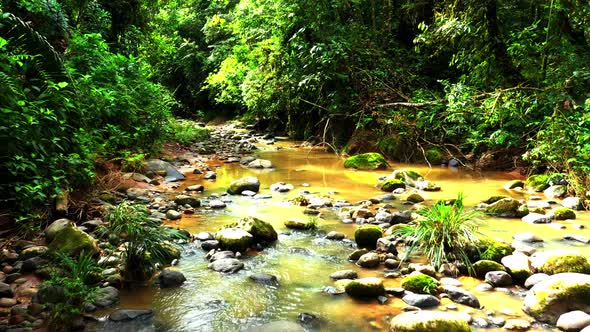 A heavily polluted stream in a tropical forest due to goldmining