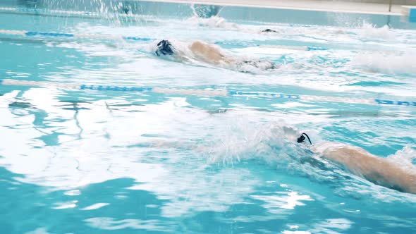 Close Up Shot of Swimmers Training