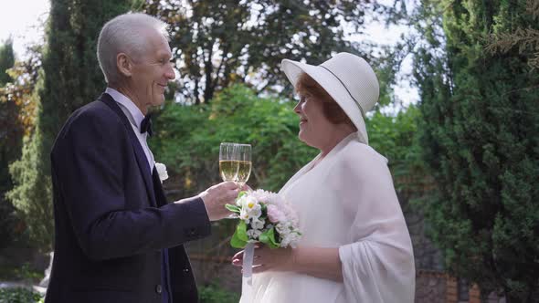 Happy Senior Newlyweds Toasting Clinking Champagne Glasses in Slow Motion Standing Outdoors