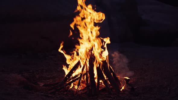Bonfire burning at night. Flames of fire on black background in slow motion.