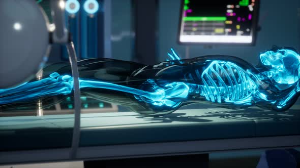 Human Skeleton Bones Scan Exam in Lab alt