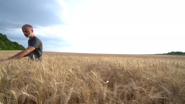 Farmer in Cornfield