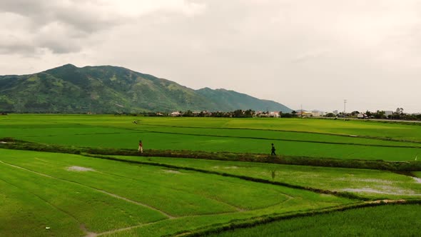 Two people are walking toward each other on the Green Field, Phu Yen, Vietnam