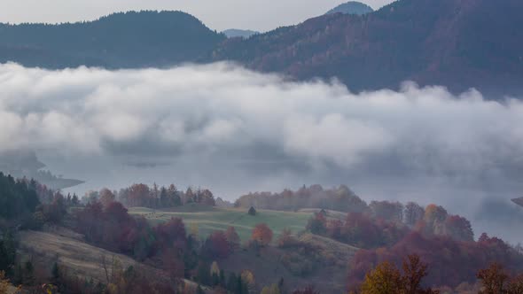 Mountain Landscape With For