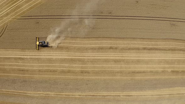 Top down view of Harvester machine working in wheat field 