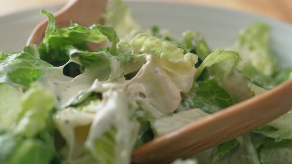 Camera follows tossing salad with dressing. Slow Motion. alt