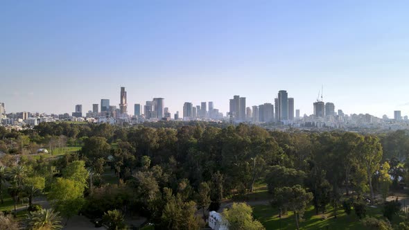 Ecological Contrast Cityscape with Skyscrapers Against a Green Park with Green Trees