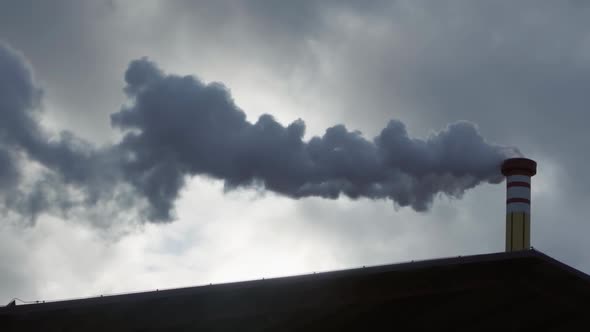 White Dense Steam Comes Out of the Pipe Against the Background of the Overcast Sky