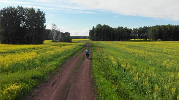 Motorcyclist on The Forest Road