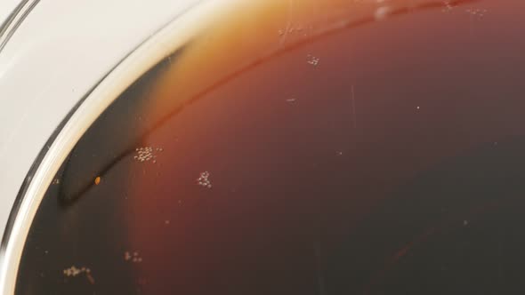 Fresh sparkling  dark soft drink in the glass close-up 4K 2160p 30fps UltraHD footage - Bubbles of  