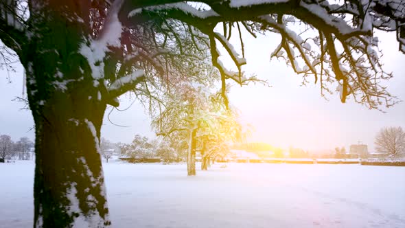Aerial View of Nature Environment Scenery Landscape Outdoors during Snowfall in Christmas Time alt