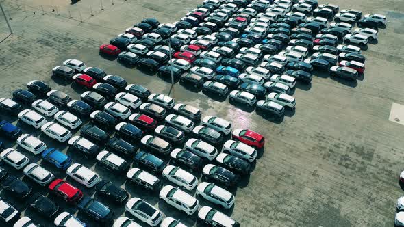 Car Factory Parking Lot. New Cars Ready for Sale.