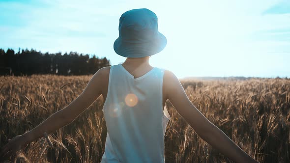 Funny Teen Boy in a Blue Hat Walks on a Golden Wheat Field at Sunset Back View Steadicam Cinematic