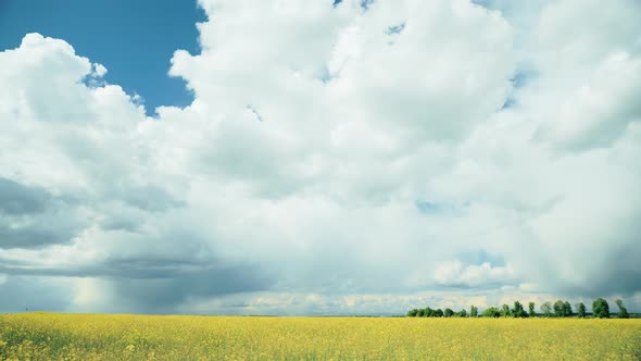 Dramatic Sky With Rain Clouds On Horizon Above Rural Landscape Canola Colza Rapeseed Field