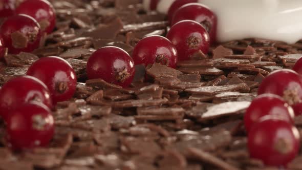 Cake Cream Flows over the Red Currants Lying on the Chocolate  Shavings.